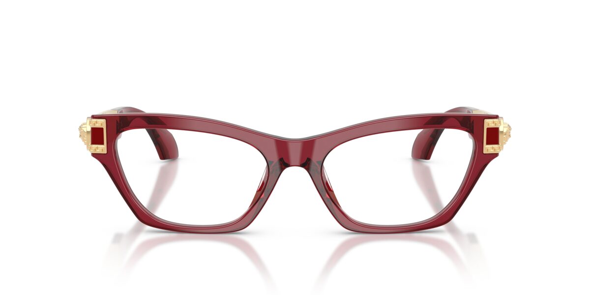Versace VE3396U 388