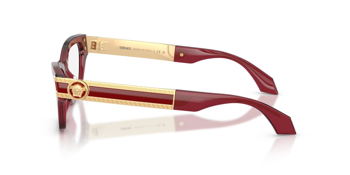 Versace VE3396U 388