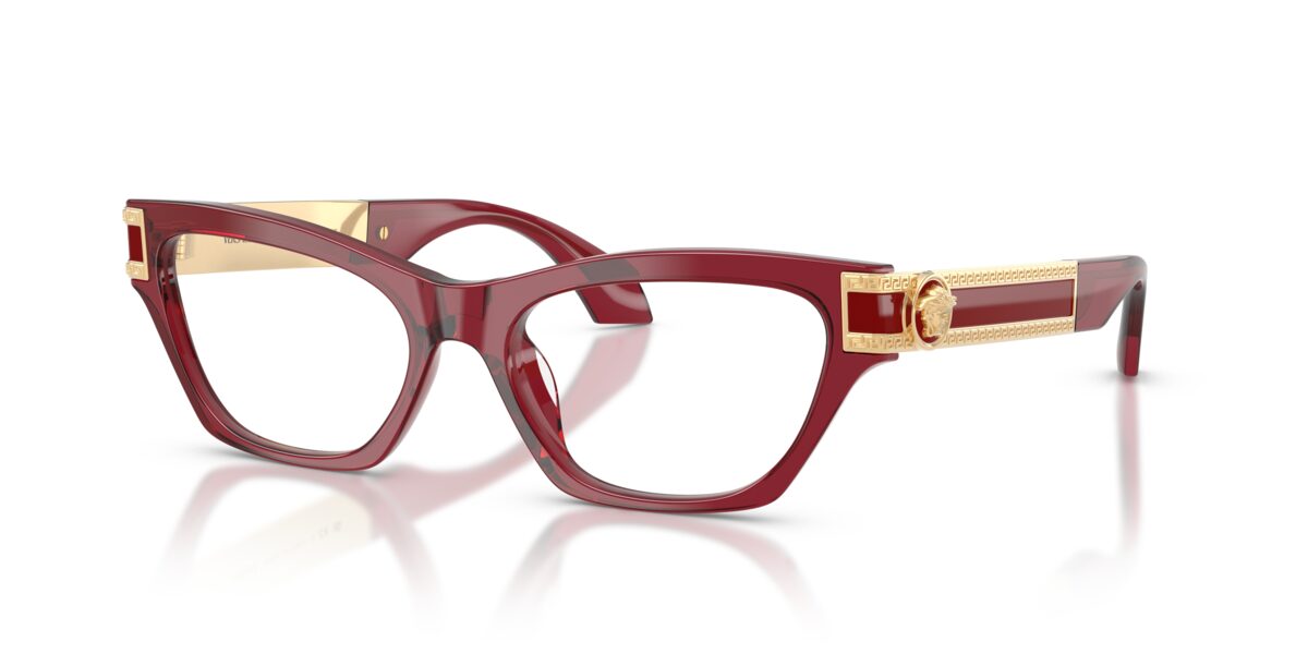 Versace VE3396U 388