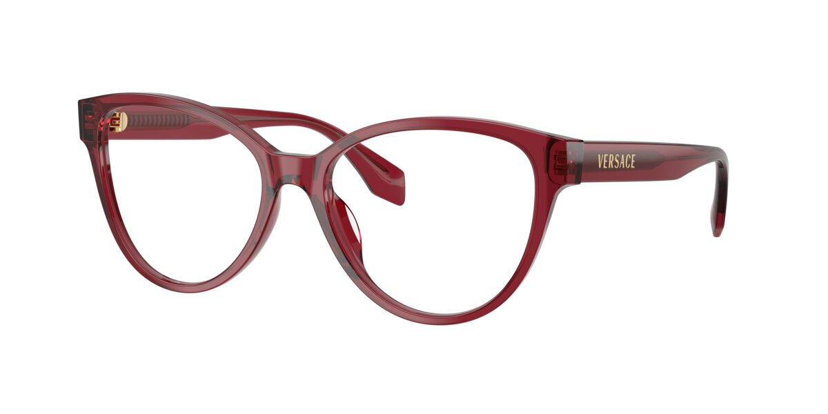 Versace VE3399U 388