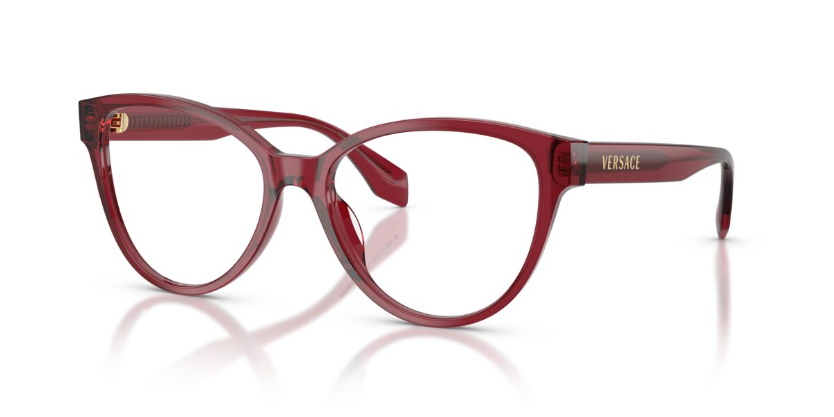 Versace VE3399U 388