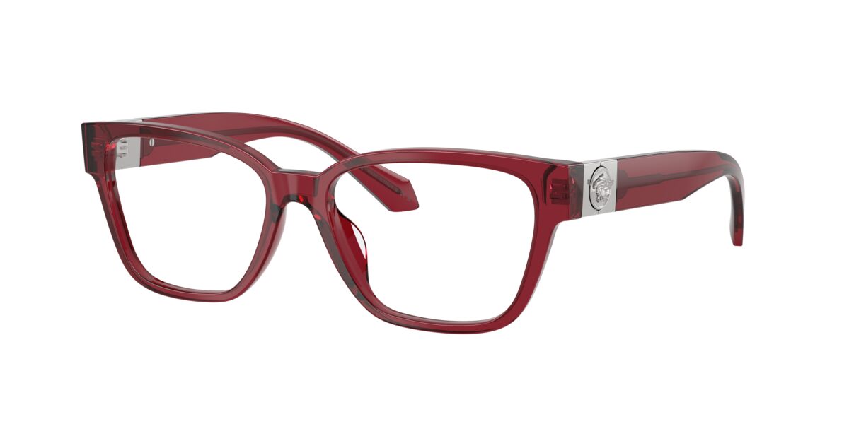 Versace VE3401U 388