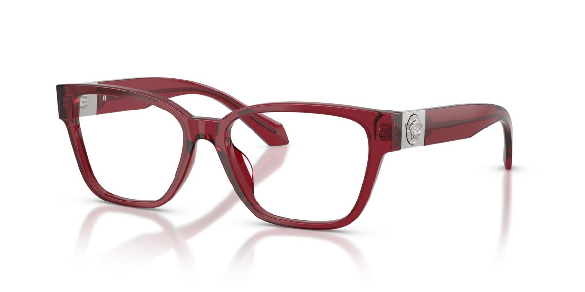 Versace VE3401U 388