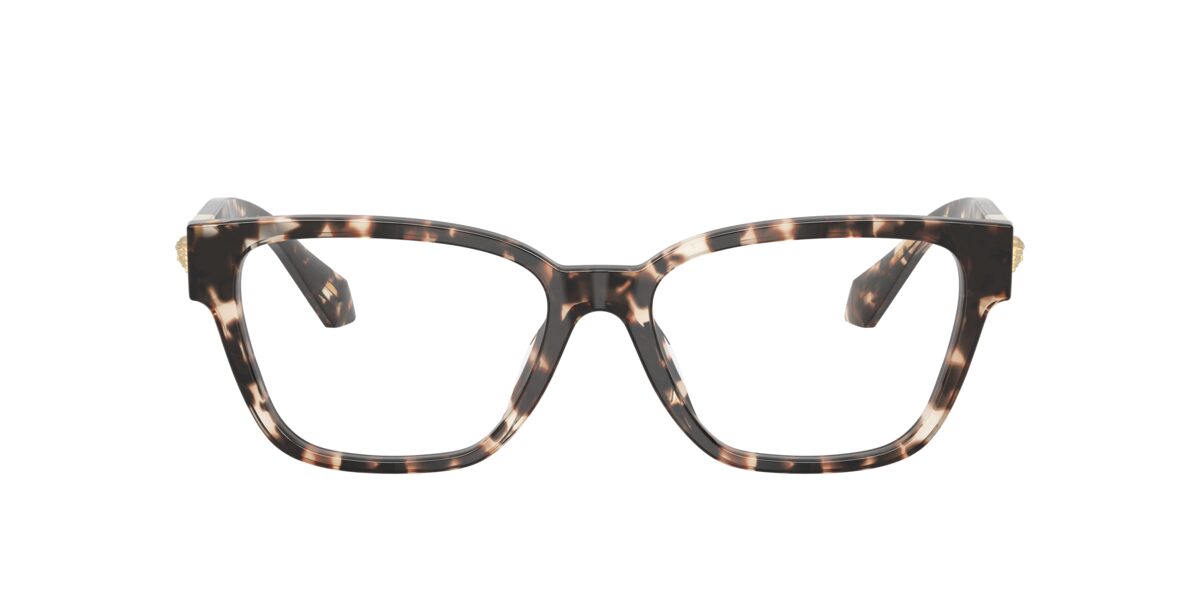 Versace VE3401U 5498