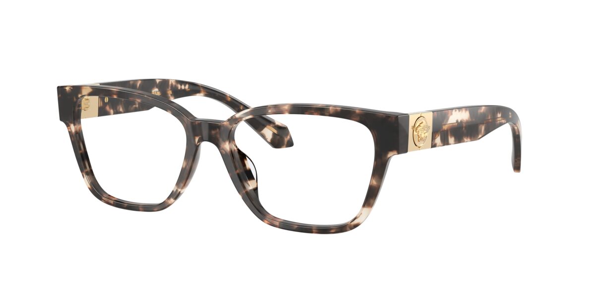 Versace VE3401U 5498