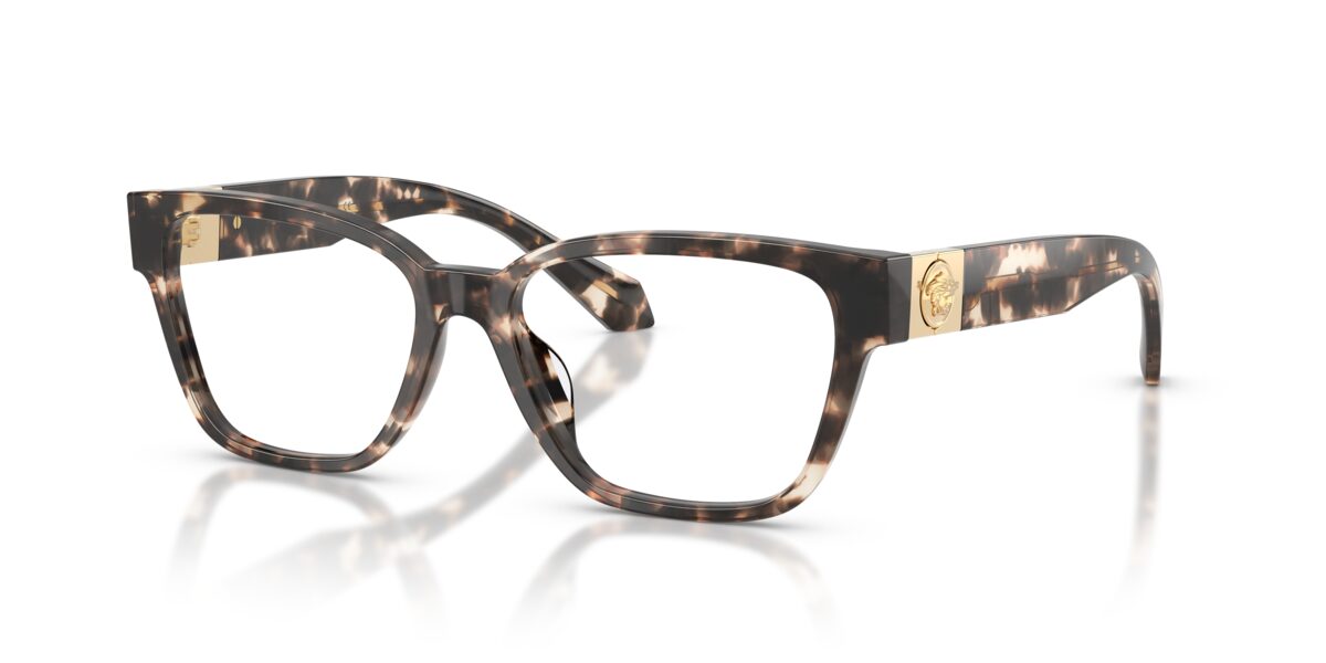 Versace VE3401U 5498