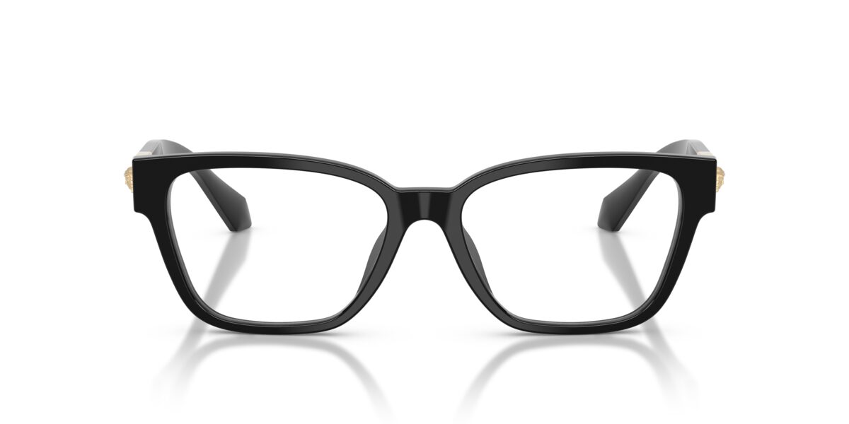 Versace VE3401U GB1