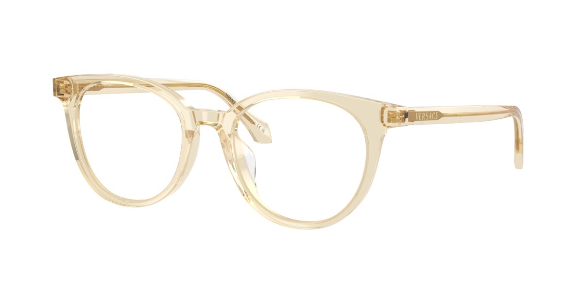 Versace VE3404D 5556
