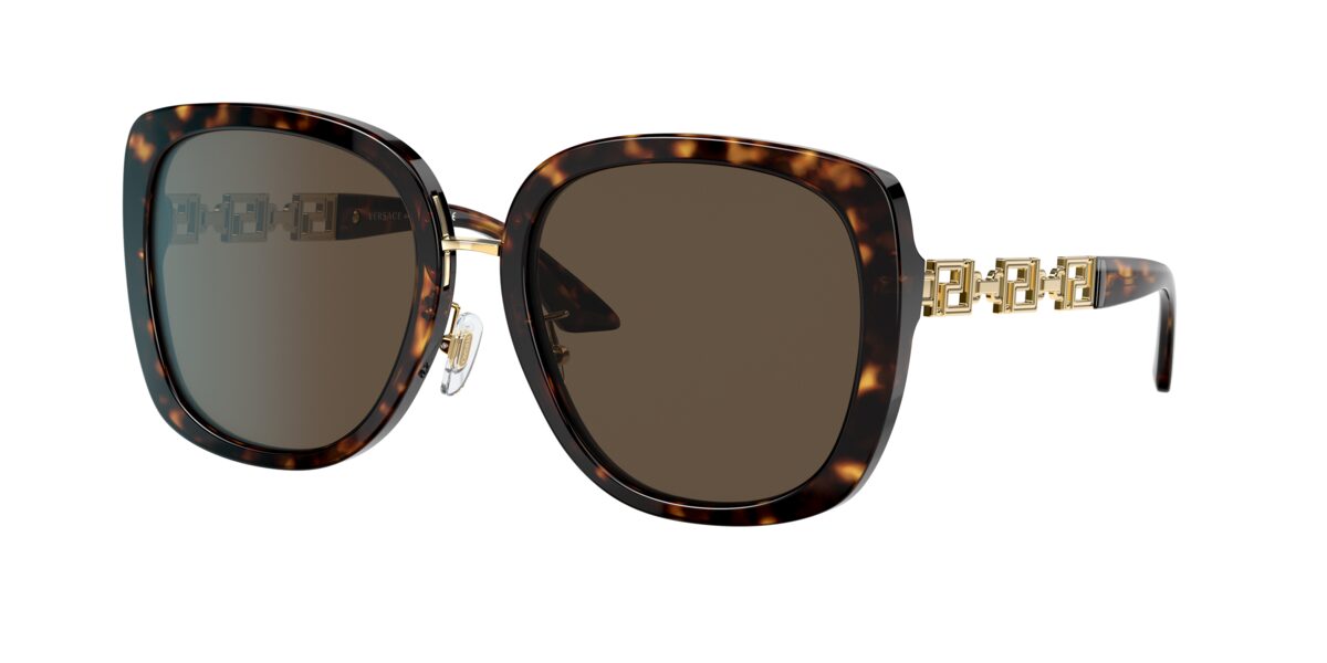 Versace VE4407D 108/73