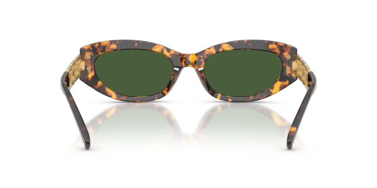 Versace VE4501 551471