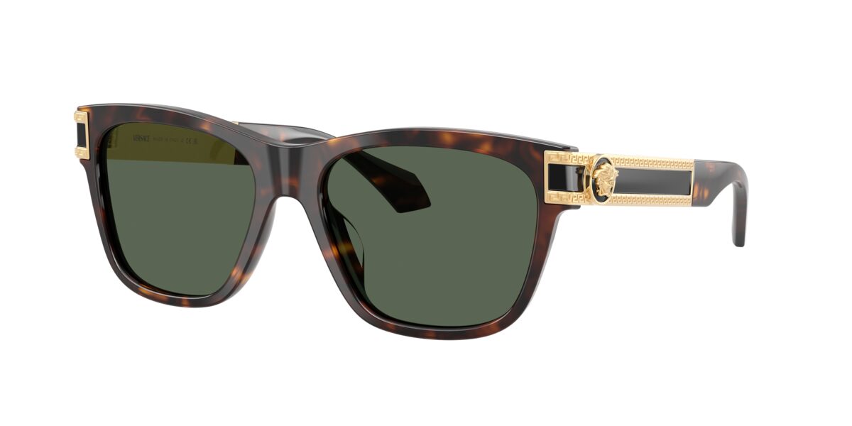 Versace VE4527U 108/71