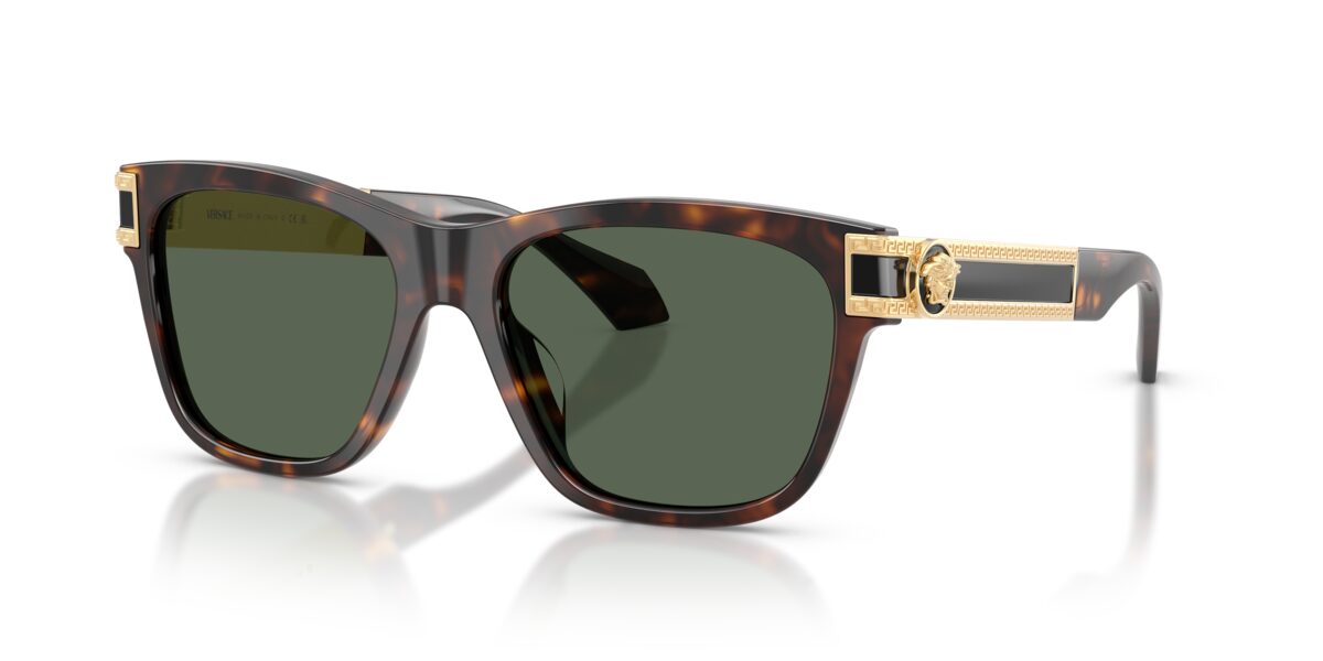 Versace VE4527U 108/71