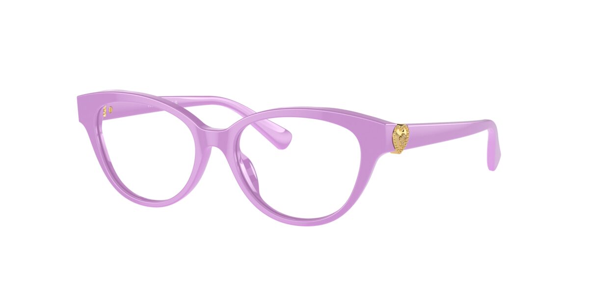 Versace VK3004 5424