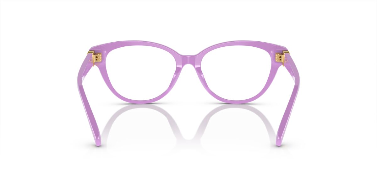 Versace VK3004 5424