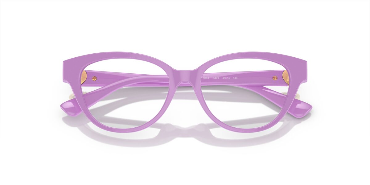 Versace VK3004 5424