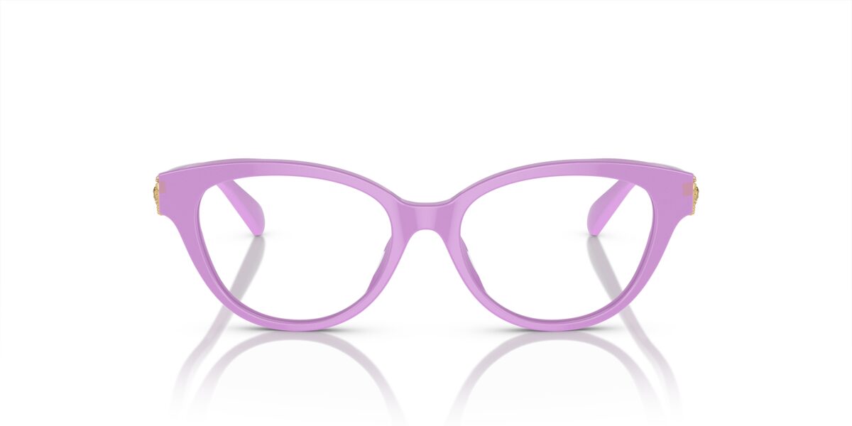 Versace VK3004 5424