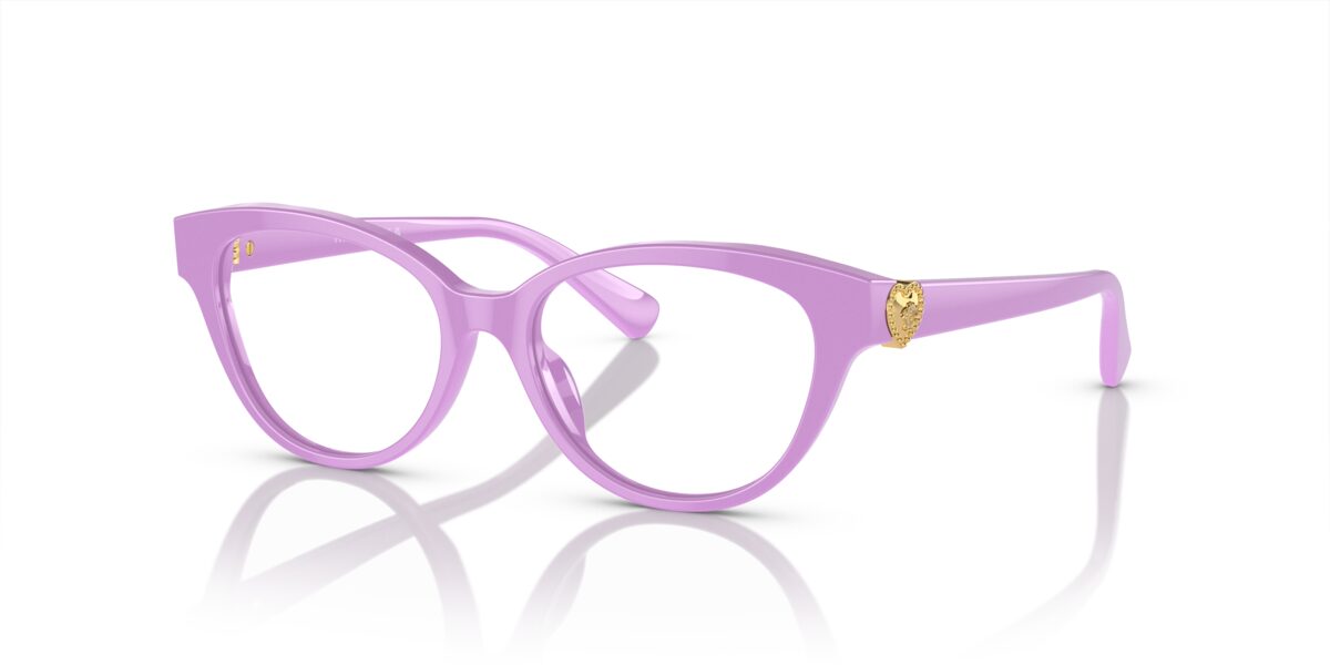 Versace VK3004 5424