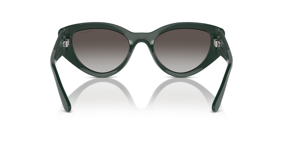 Vogue Eyewear VO5566S 31228G