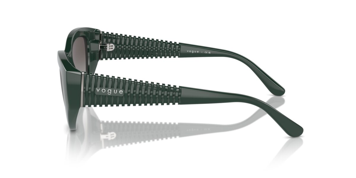 Vogue Eyewear VO5566S 31228G