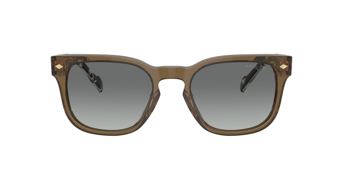 Vogue Eyewear VO5571S 314411