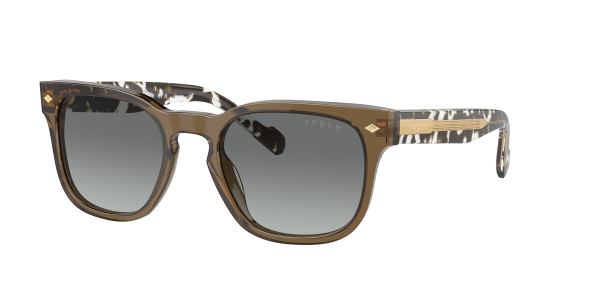Vogue Eyewear VO5571S 314411