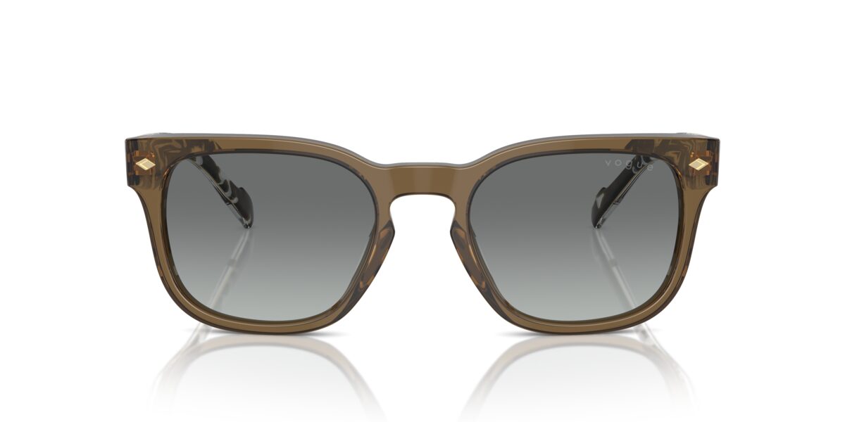 Vogue Eyewear VO5571S 314411