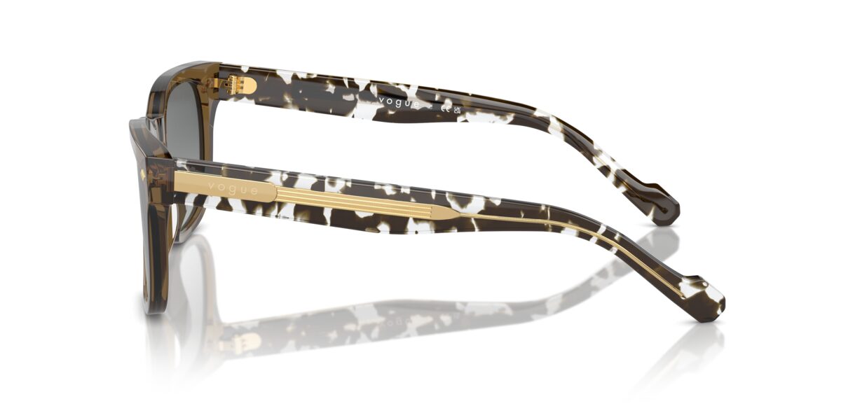 Vogue Eyewear VO5571S 314411