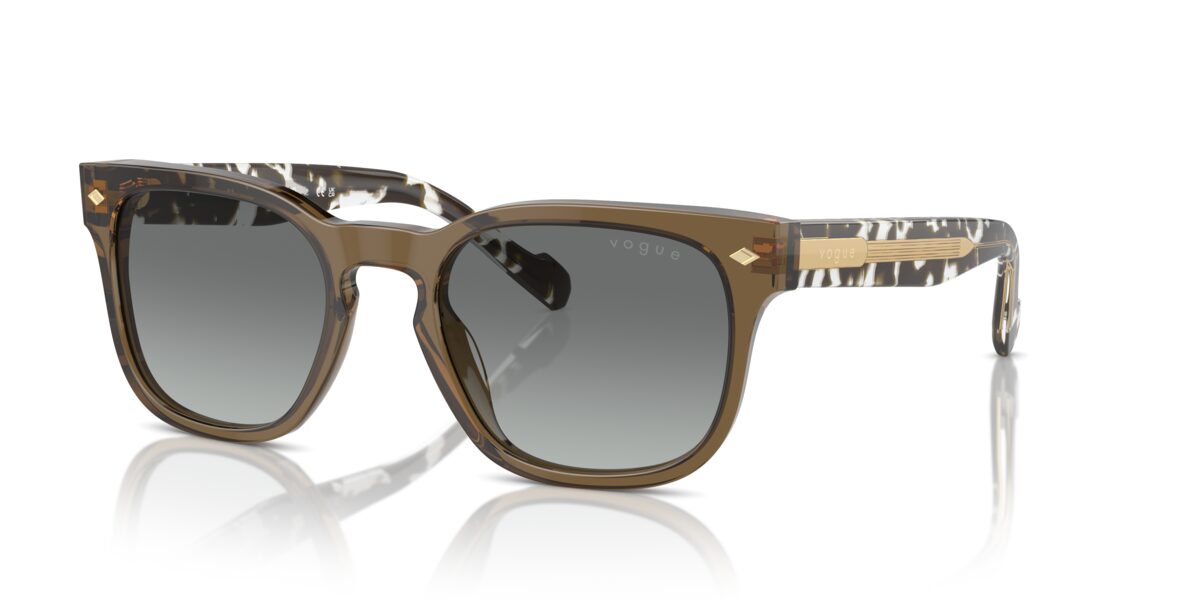 Vogue Eyewear VO5571S 314411