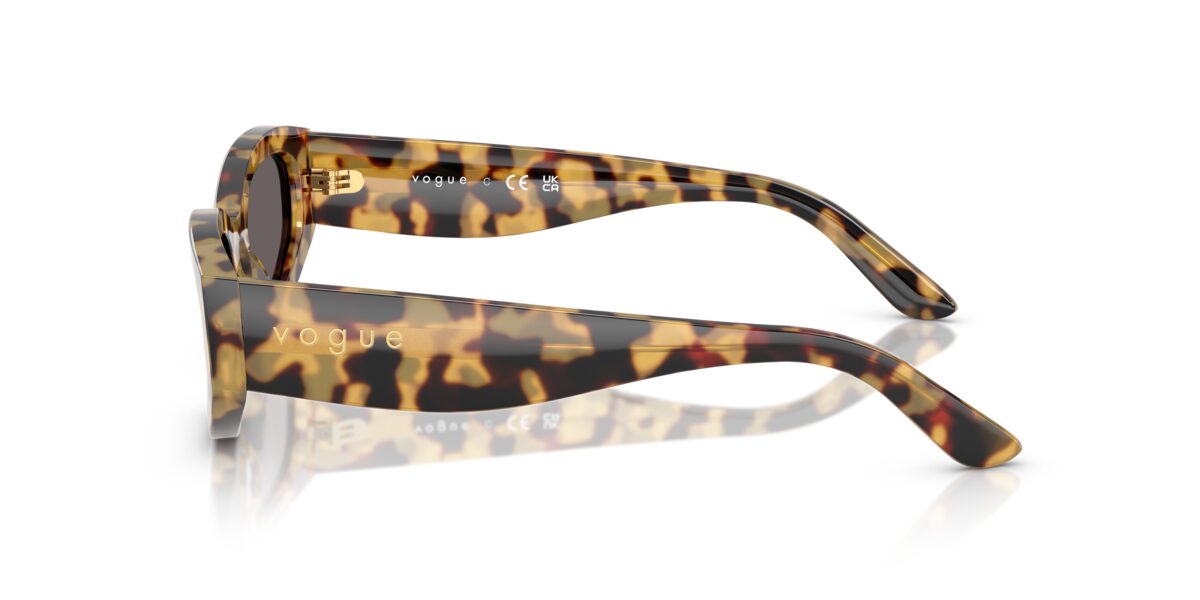 Vogue Eyewear VO5585S 260587