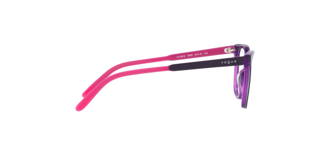 Vogue Eyewear VY2012 2809