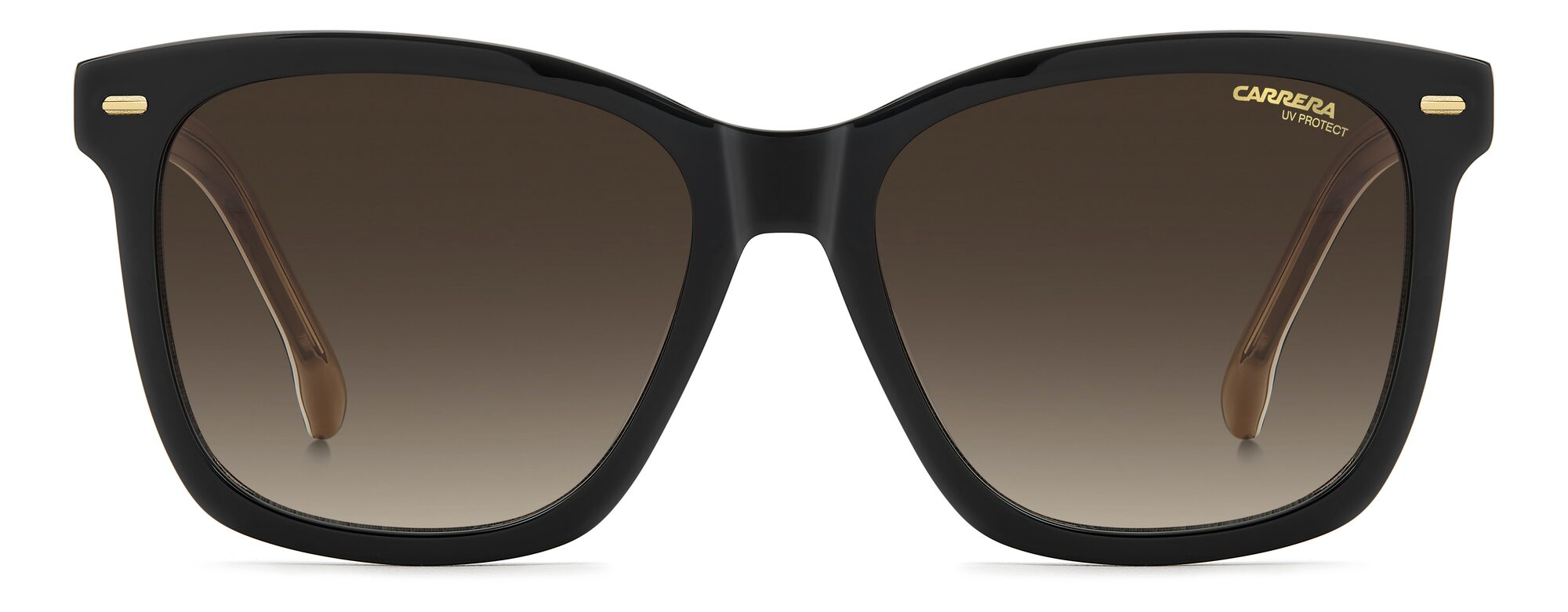 Carrera 3113/S KDX/HA